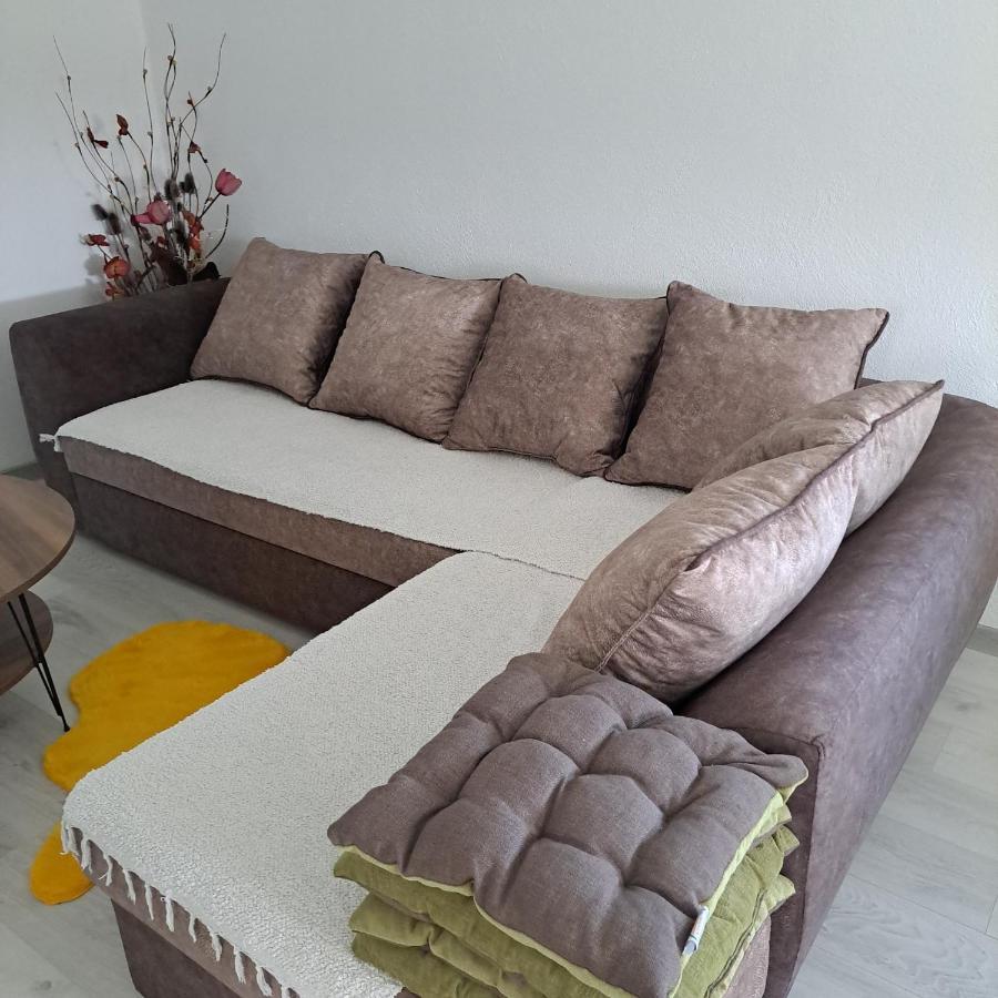 Knezevic Apartman 포드고리차 외부 사진